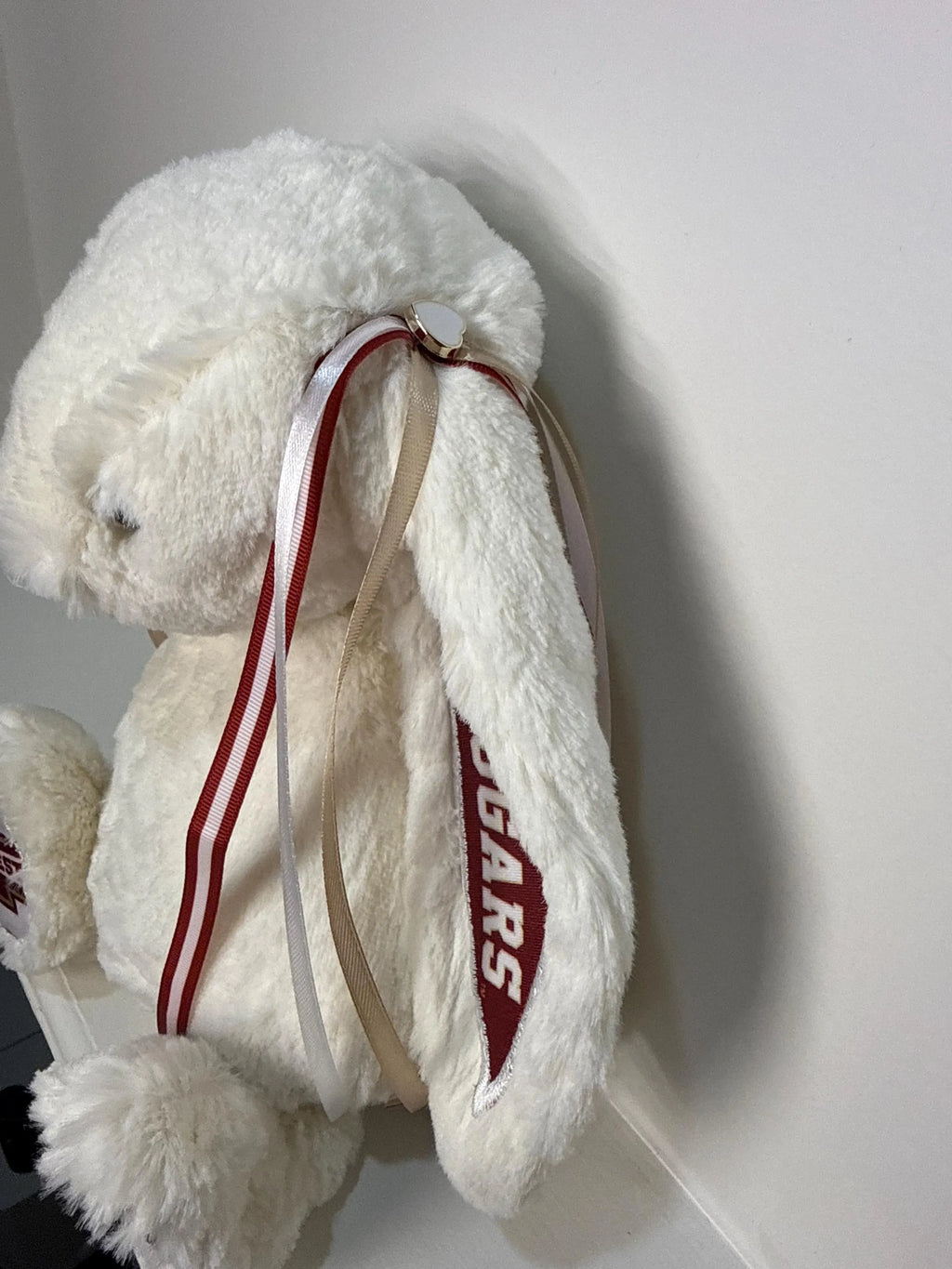 Hand-Customized Collegiate Keepsake Bunny - College of Charleston - Large Bunny