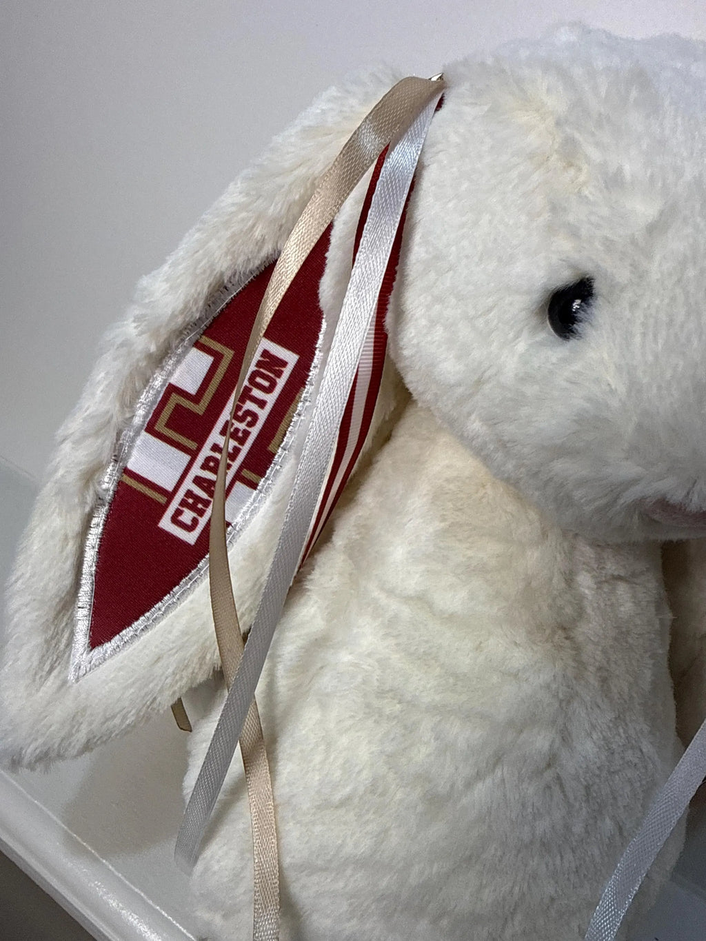 Hand-Customized Collegiate Keepsake Bunny - College of Charleston - Large Bunny