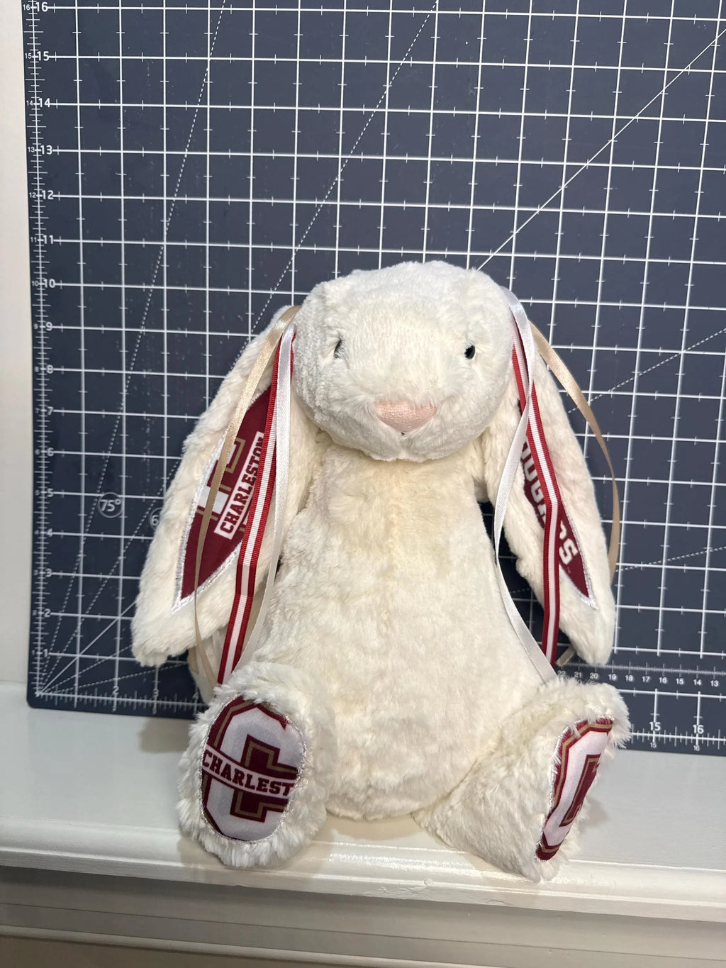 Hand-Customized Collegiate Keepsake Bunny - College of Charleston - Large Bunny