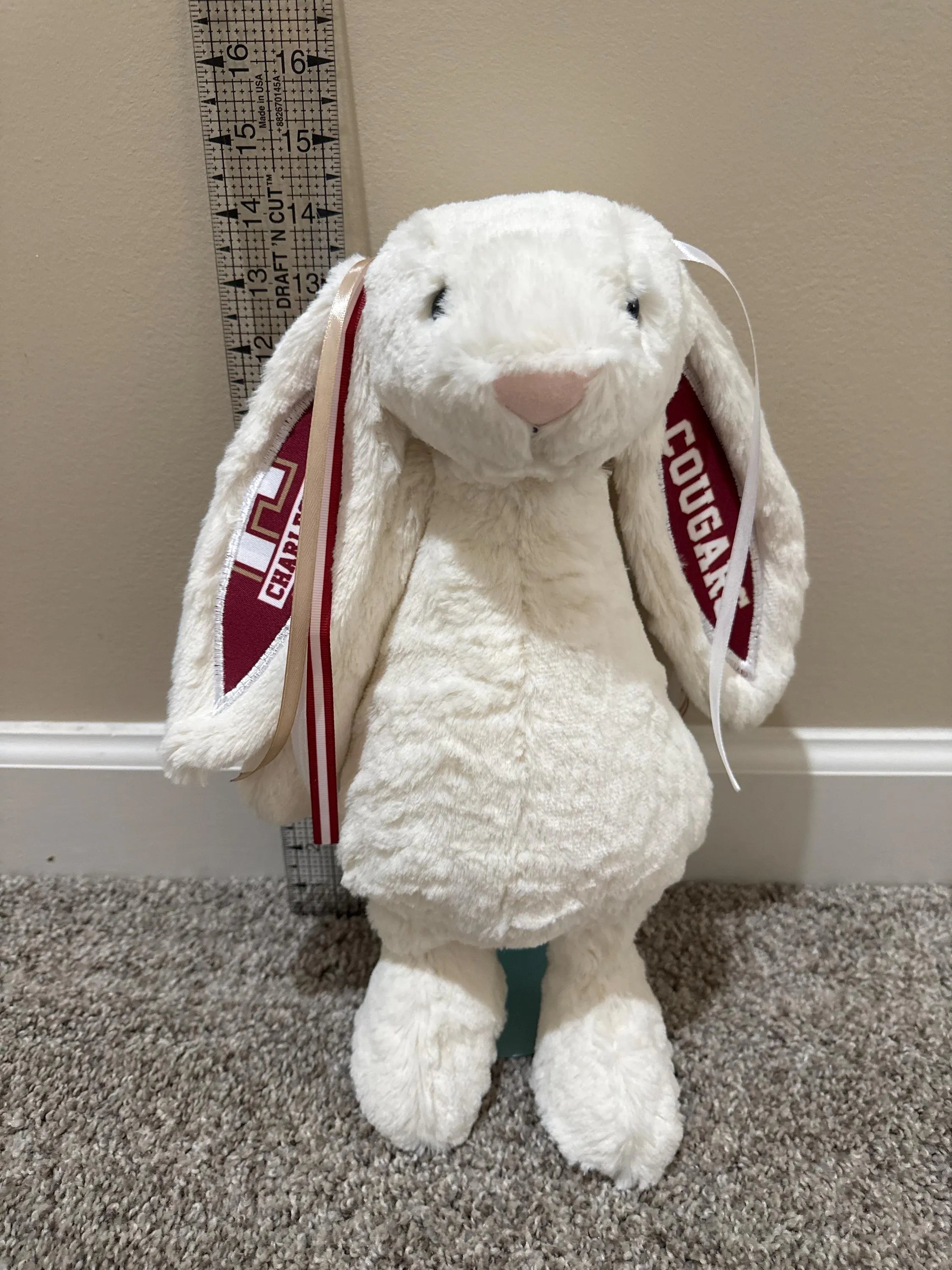 Hand-Customized Collegiate Keepsake Bunny - College of Charleston - Large Bunny