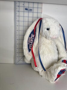Hand-Customized Collegiate Keepsake Bunny - Florida Atlantic University - Large Bunny