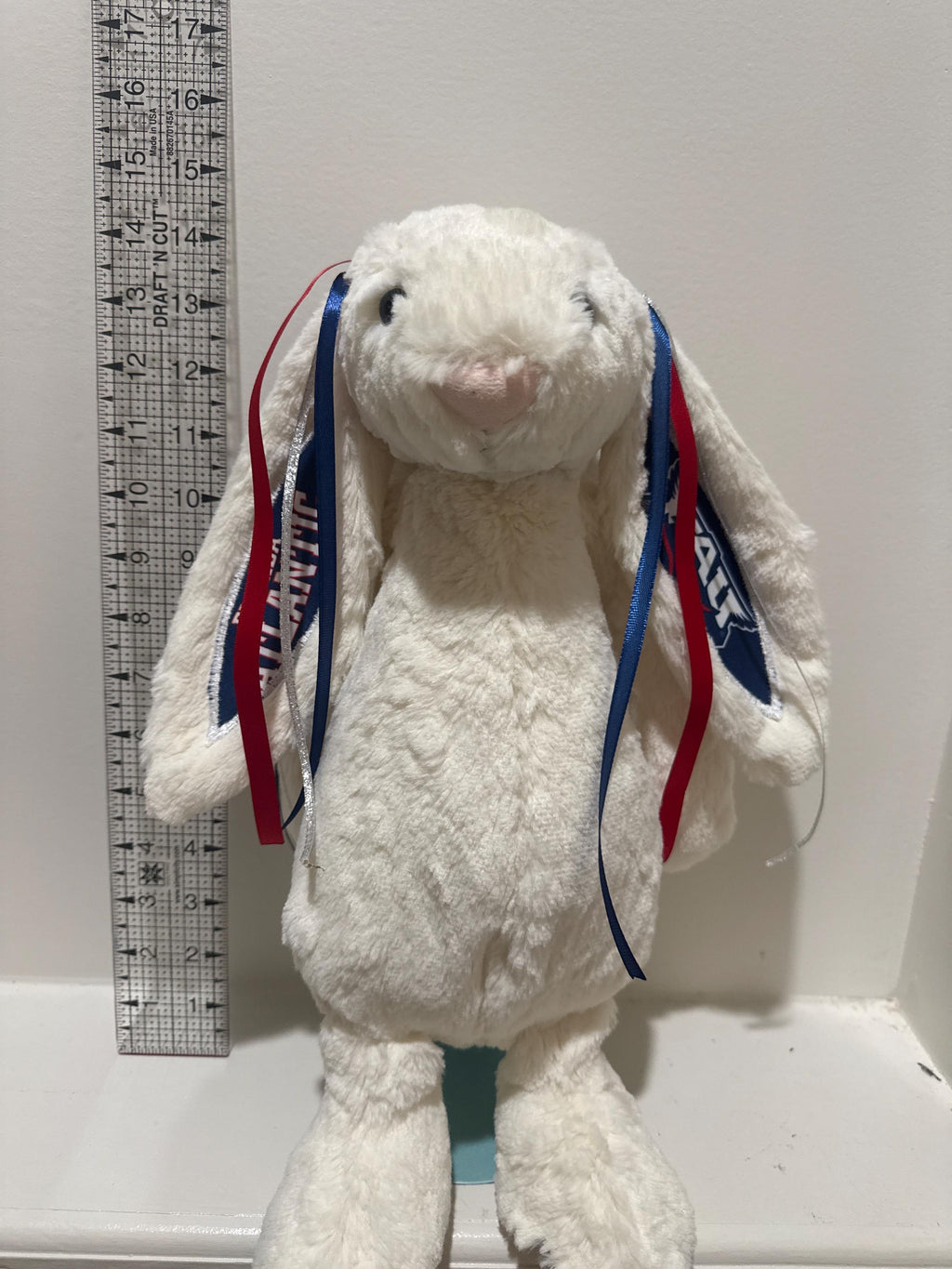Hand-Customized Collegiate Keepsake Bunny - Florida Atlantic University - Large Bunny