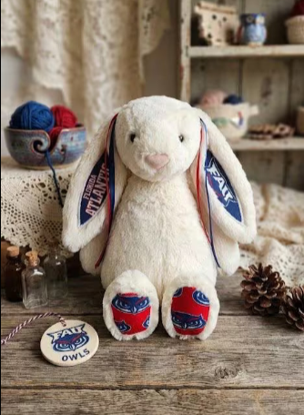 Hand-Customized Collegiate Keepsake Bunny - Florida Atlantic University - Large Bunny