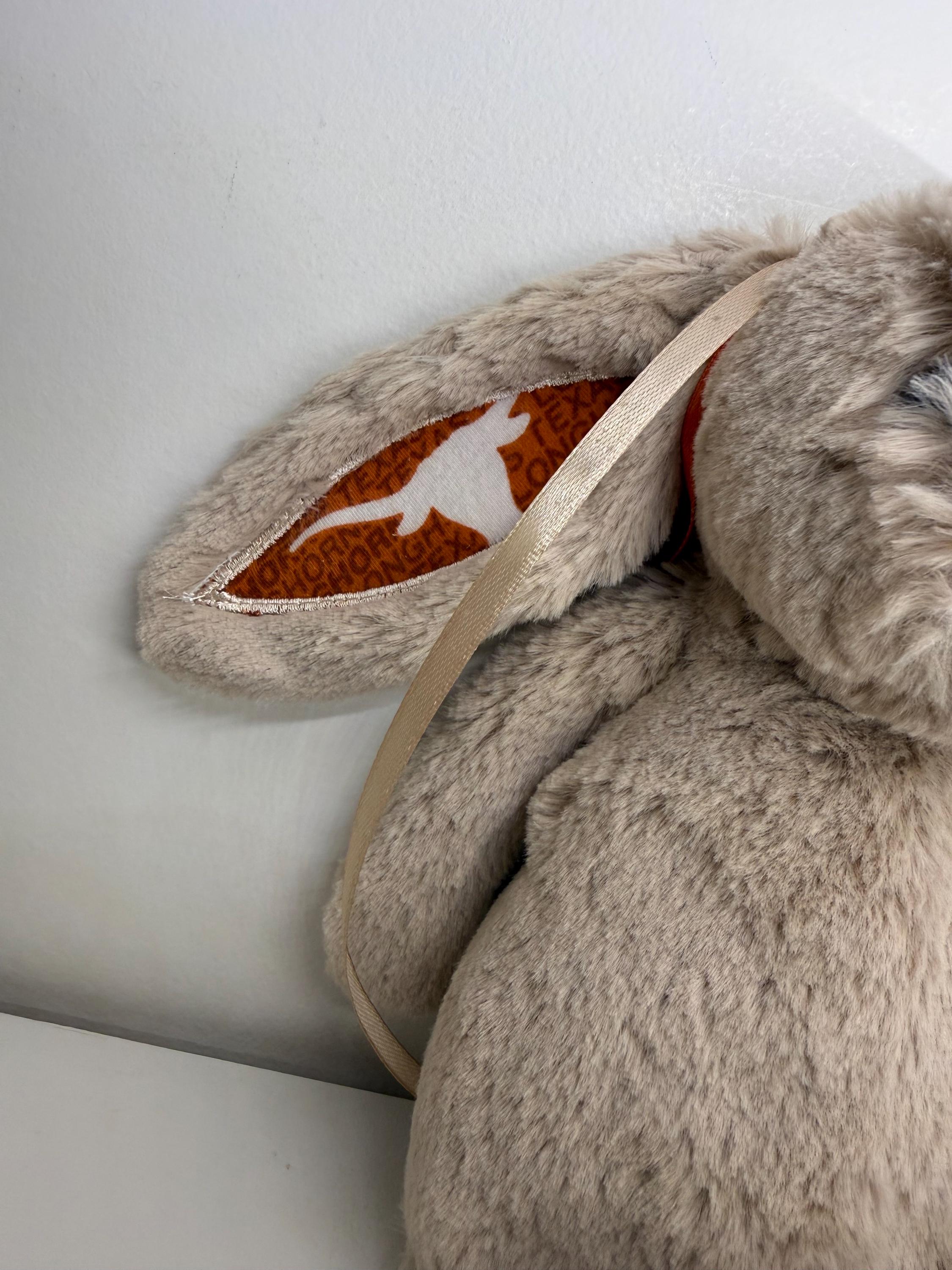 Collegiate Keepsake Medium Bunny - The University of Texas Longhorns