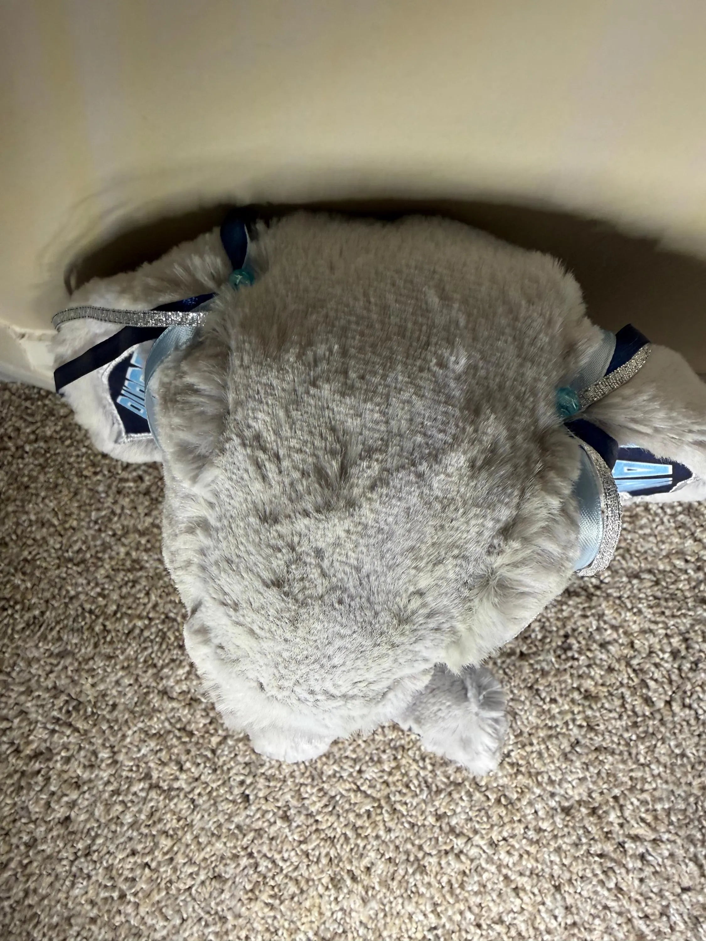 Collegiate Keepsake Large Bunny - The University of Rhode Island - URI